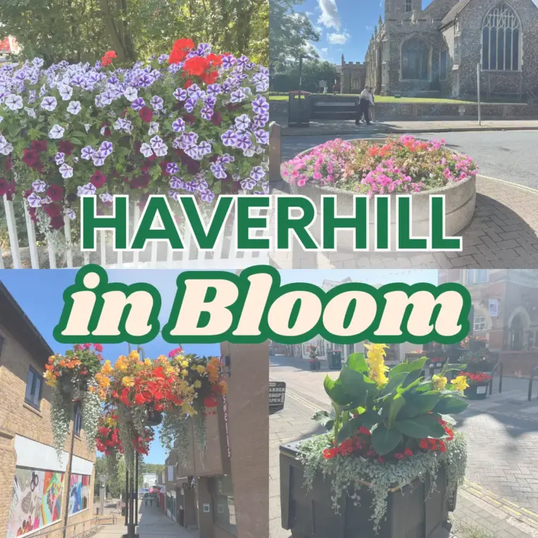 NEW Zone Square posters (2)